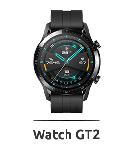 Watch GT2
