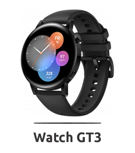 Watch GT3